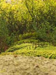 lt;lt;Marvel: Connec