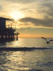 Falling for You: The