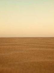 lt;Honor calls for N