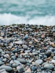 The Imperial Concubi