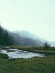 Shen Ning Ran Bao Ji