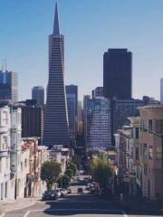 My pets are all amaz