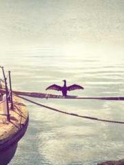 Professor Yan is goi